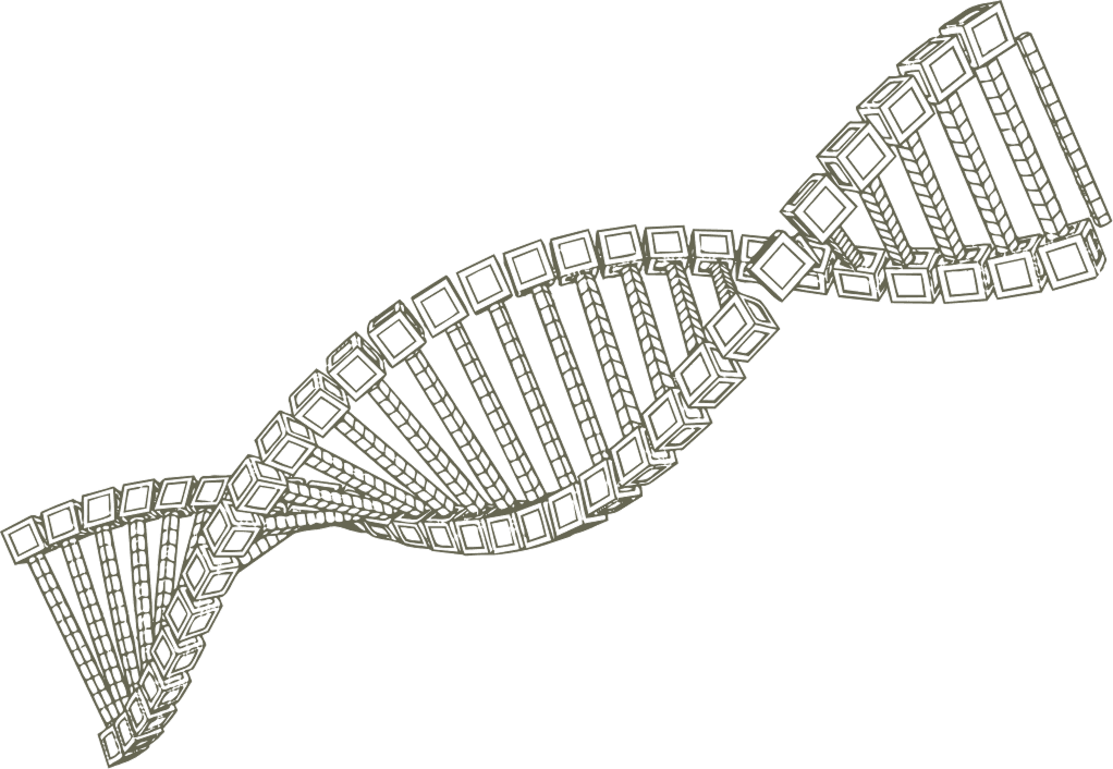 DNA Helix